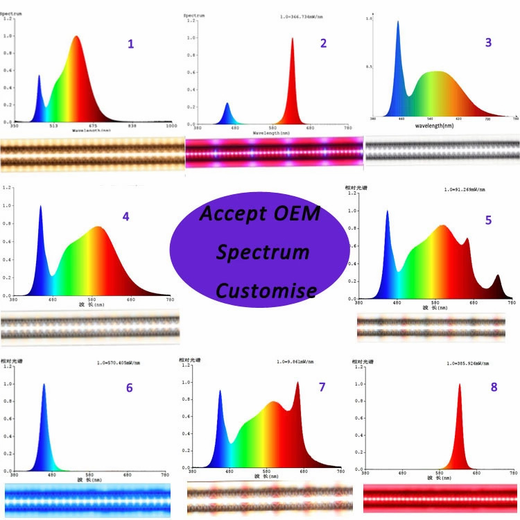 Hot Selling Hydroponic Adjustable Spectrum LED Grow Light