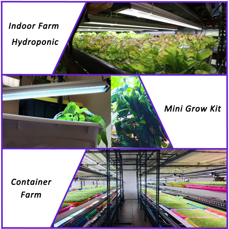wholesale aquaponics hydroponic fodder led plant lamp indoor vegetable growing systems
